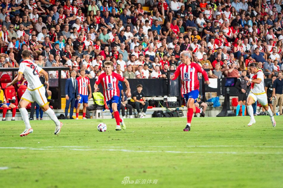 总是不断寻 总是不断寻